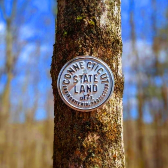 Un letrero de metal rústico colgado de un árbol en el sereno bosque.