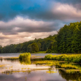 A serene lake with shimmering water nestled beneath trees.