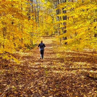 A runner energetically making their way through the autumn forest.