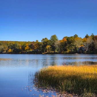 Tranquil lake embraced by colorful fall foliage and verdant grass.