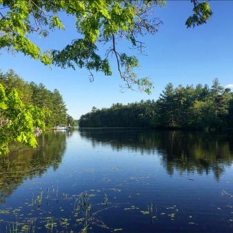 Frente al mar en el bosque estatal Quaddick (Instagram@stay_outside)