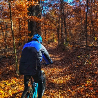 Un hombre disfrutando de un paseo en bicicleta por un sendero boscoso en otoño.
