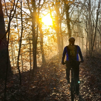 Un hombre andando en bicicleta por el bosque brumoso al amanecer.