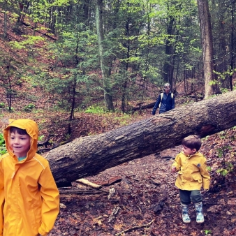 Dos niños con impermeables amarillos exploran un sendero en el bosque lluvioso con su familia.