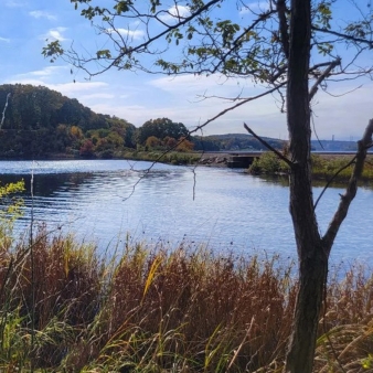 A serene river surrounded by trees and grass.