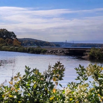 A serene scene of water and trees under a blue sky.