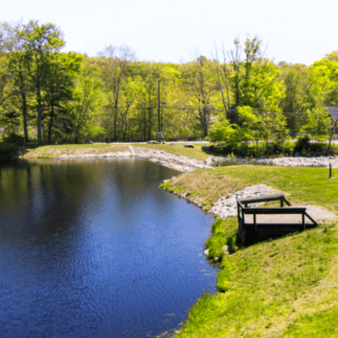 A calm pond with a dock surrounded by green grass.