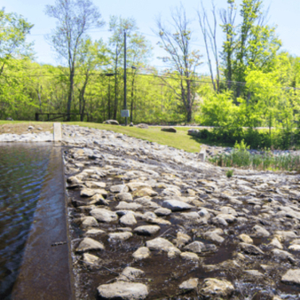A rocky dam surrounded by the lush greenery of summer.