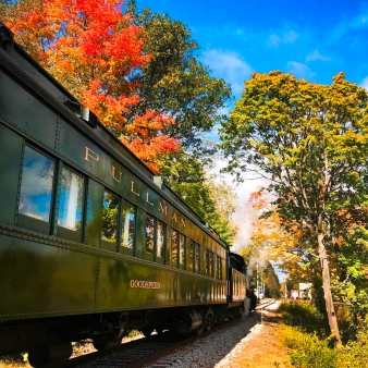A train journeying through autumn-colored foliage.