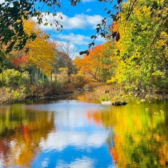 Los colores del otoño se reflejan en aguas tranquilas.