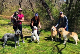 Un grupo feliz de personas y sus perros disfrutando juntos de un sendero panorámico.