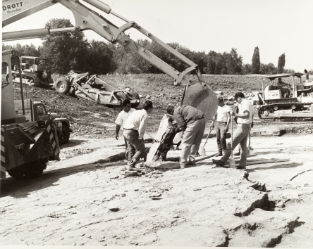 Several works use an excavator to remove the rock slabs on top of the main track bearing layer at dinosaur state park