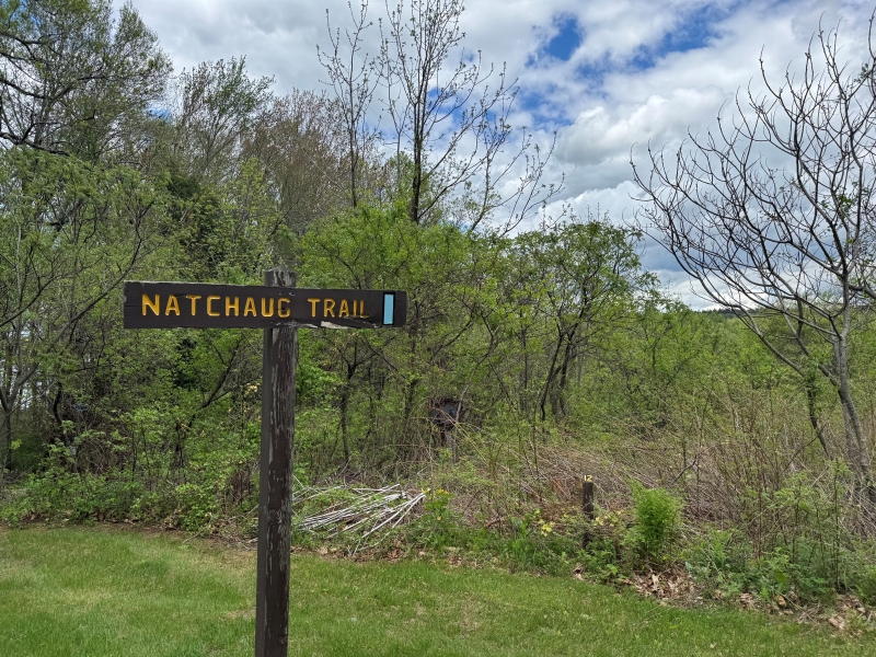 Natchaug Trail sign in nature