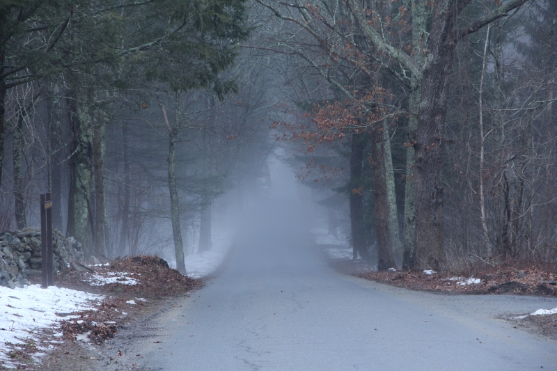road in fog