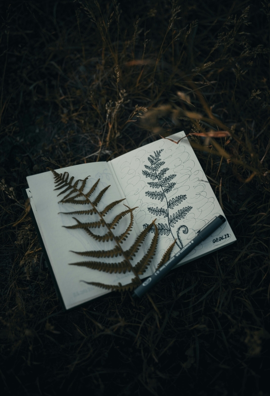 diario de naturaleza