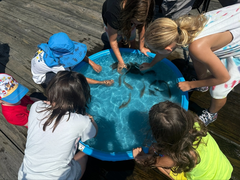 Kids in Touchpool