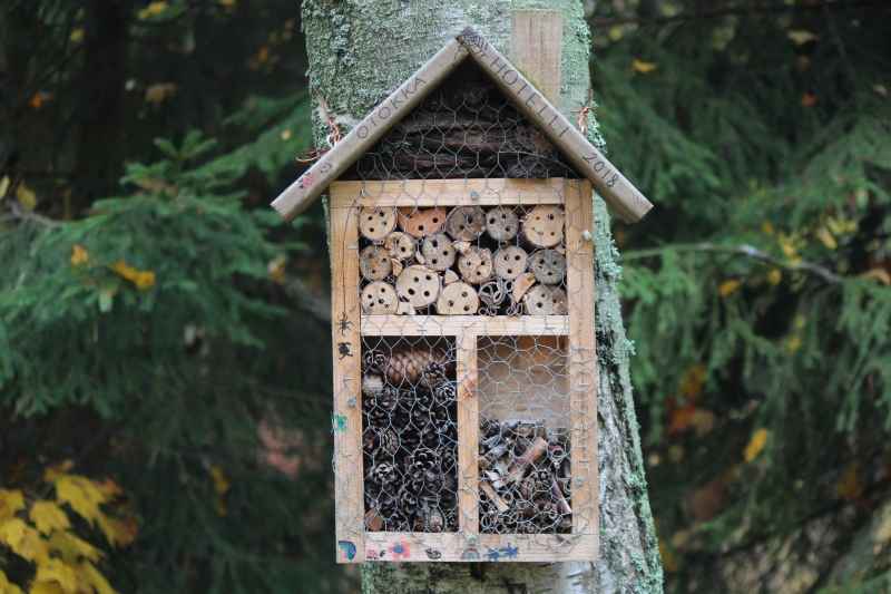 bug hotel made of natural materials