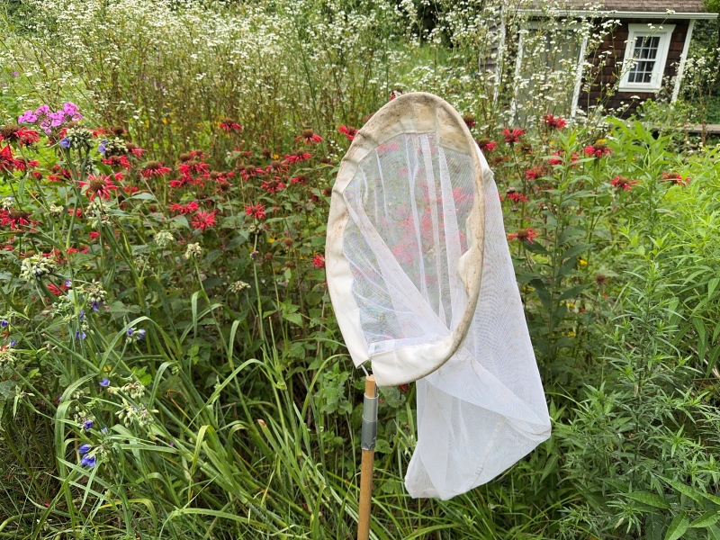 Butterfly net among a garden with a shed in the background