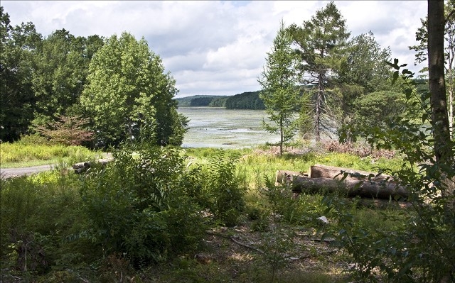 Pine Acres Pond