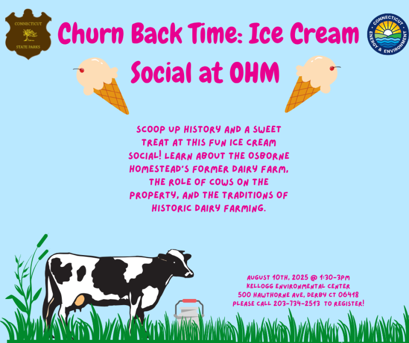 Flyer with blue background and black and white cow and ice cream cones in the foreground