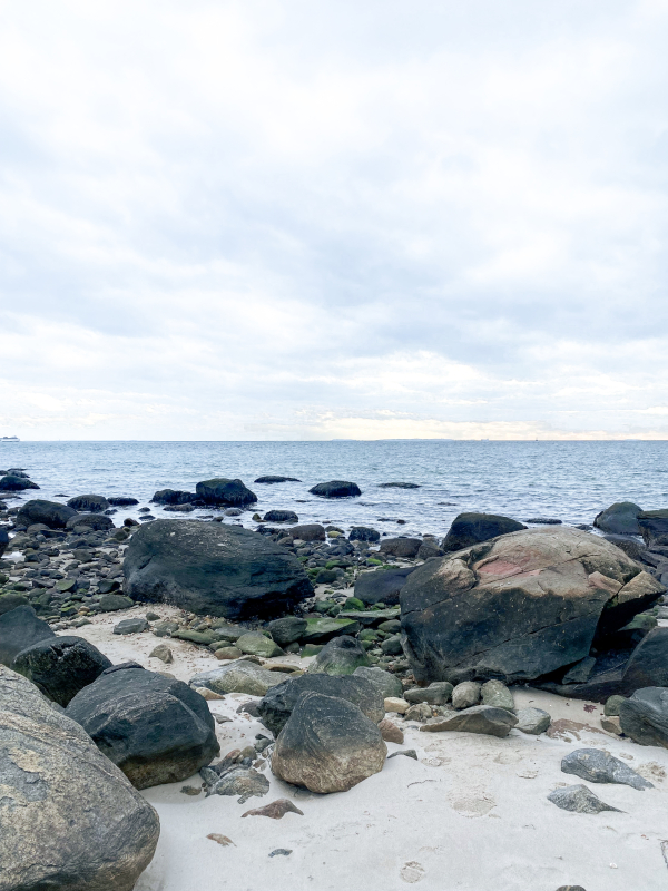 rocky beach at low tide
