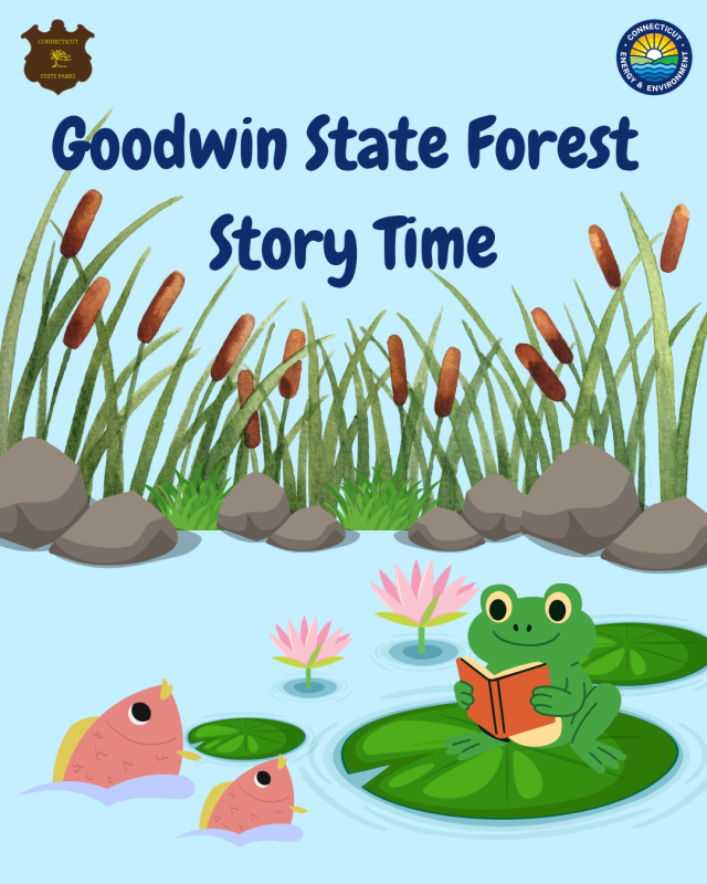 Goodwin State Forest Story Time