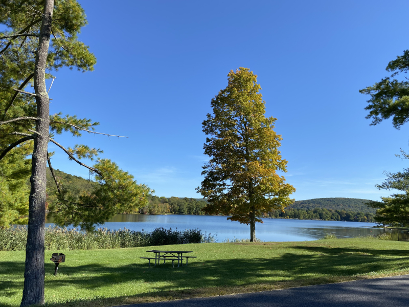 Lake Waramaug viewed from the campground area with trees in foreground
