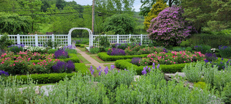 Gardens and trellis at Kellogg Estate 