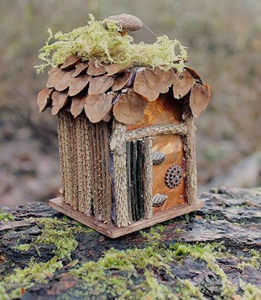 Picture of a fairy house on the forest floor