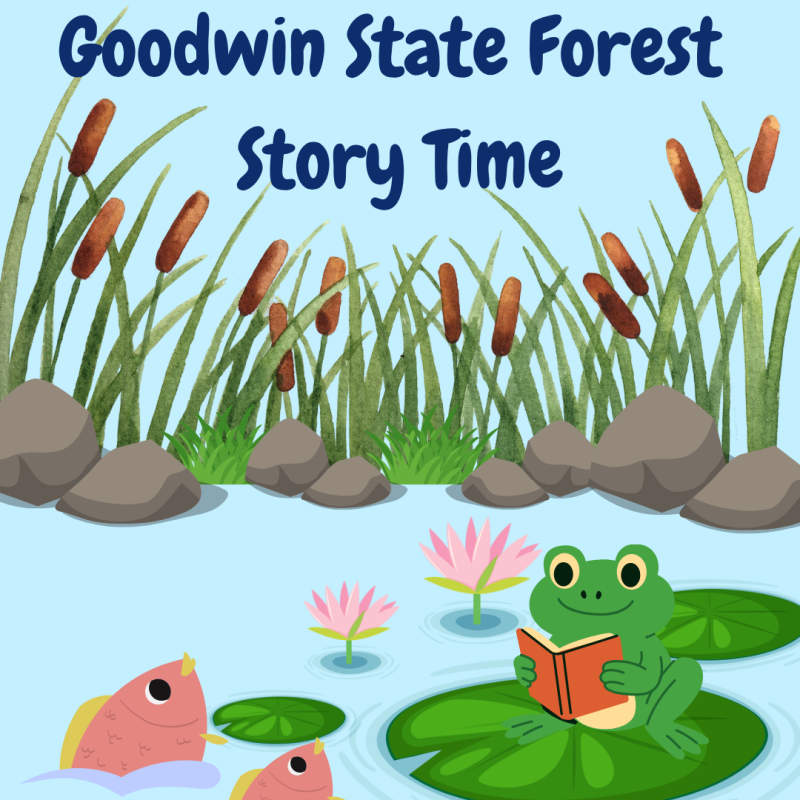 Frog reading a book on a lily pad accompanied by the text "Goodwin State Forest Story Time".