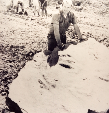 Ed McCarthy is standing next to 6 dinosaur tracks that he discovered in 1966