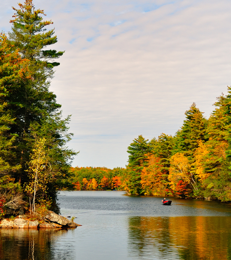 Hombre en bote a motor en aguas serenas en Bigelow Hollow State Park