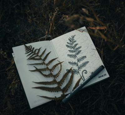 diario de naturaleza