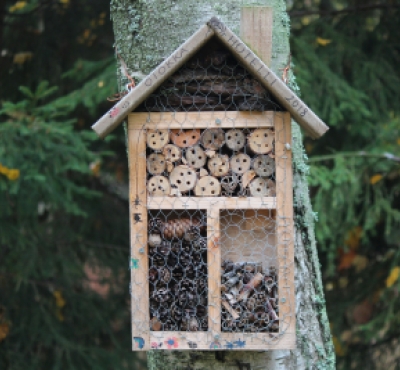 bug hotel made of natural materials