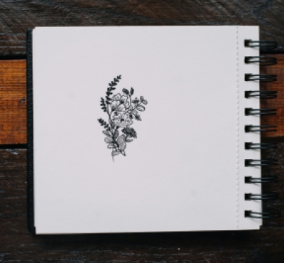 Cuaderno de bocetos encuadernado en espiral sobre una mesa de madera, con una planta dibujada con lápiz negro.