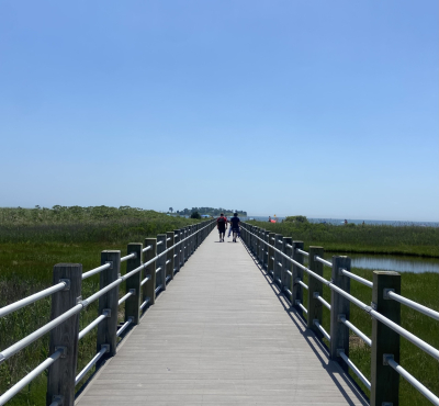 Boardwalk at Silver Sands heading toward the beach with salt marsh on either side. A view of Charles Island in the distance on a blue skied day.