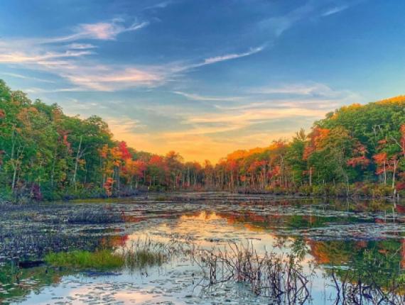 Agua que refleja árboles de otoño y cielo (Instagram@marklark13)