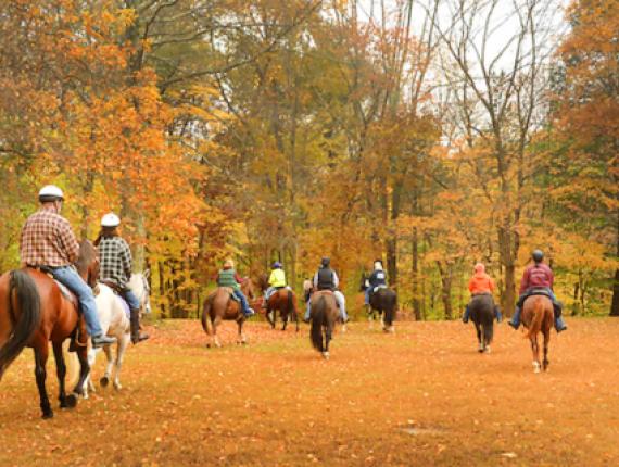 Gente montando a caballo en el bosque en otoño (Flickr@terrywildstock)