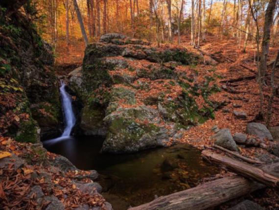 Una pequeña cascada en las rocas del bosque en otoño