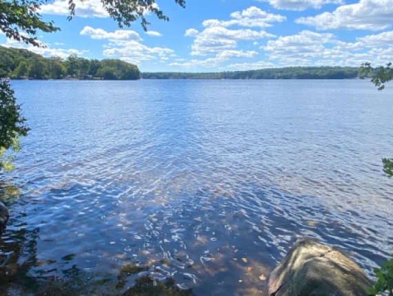 View of water at Hopemead State Park (Instagram@northeastern.brando)