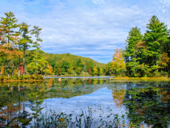 Beautiful nature shot of pond at Nipmuck State Forest 