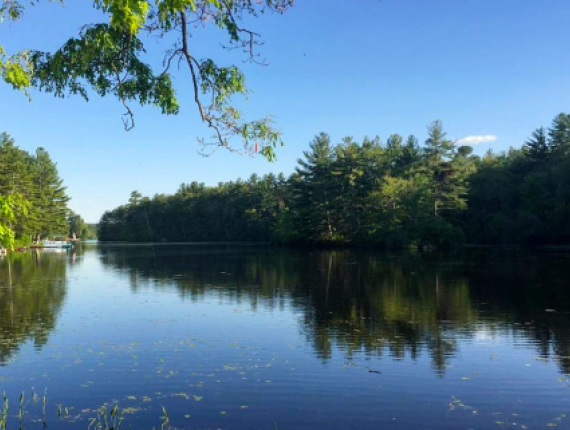 Frente al mar en el bosque estatal Quaddick (Instagram@stay_outside)