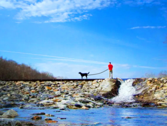 A man and his dog enjoying a scenic view overlooking the water.