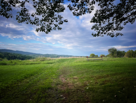 a view of vast green fields under a blue sky