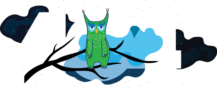 Illustration of an owl on a tree branch, in front of the words: 404 error